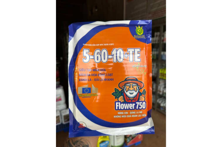 5-60-10 RỒNG LỬA