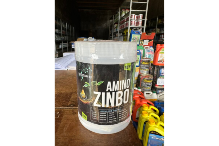 AMINO ZINBO RỒNG LỬA