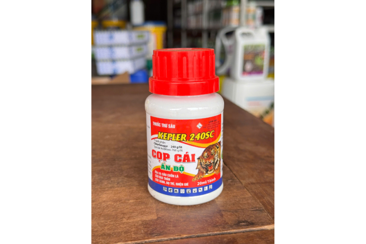 KEPLER 240SC CỌP CÁI ẤN ĐỘ ĐẶC TRỊ SÂU