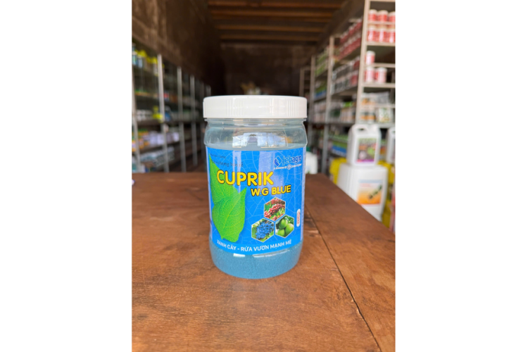 CUPRIK W.G BLUE TẨY RONG RÊU