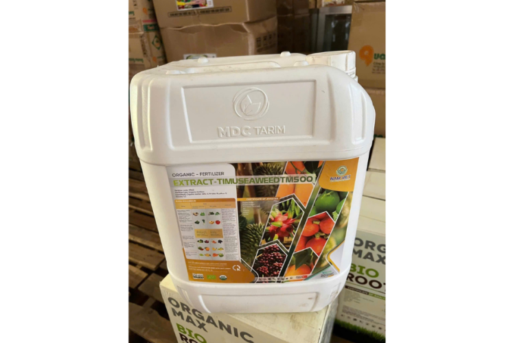 ORGANIC NAM VIỆT THỔ  NHĨ KÌ ( RONG BIỂN )