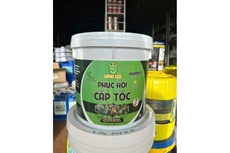 PHỤC HỒI CẤP TỐC RỒNG LỬA XÔ 10KG