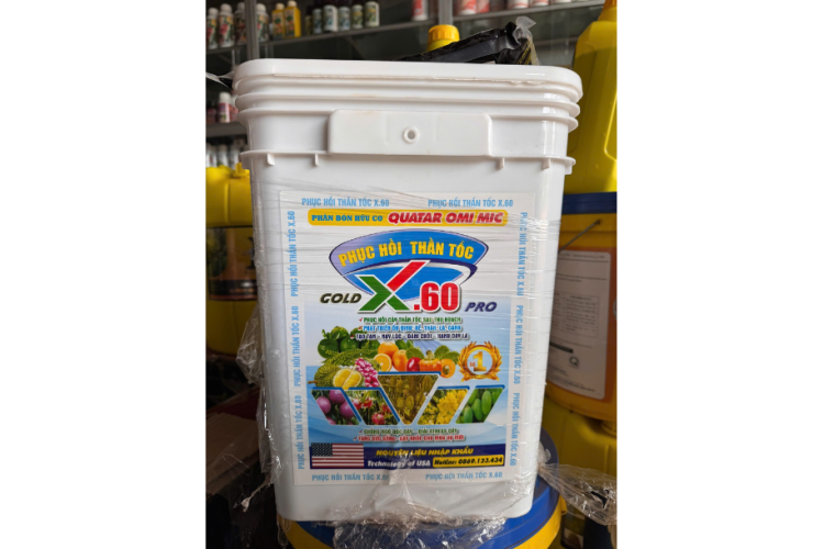  PHỤC HỒI THẦN TỐC X.60 