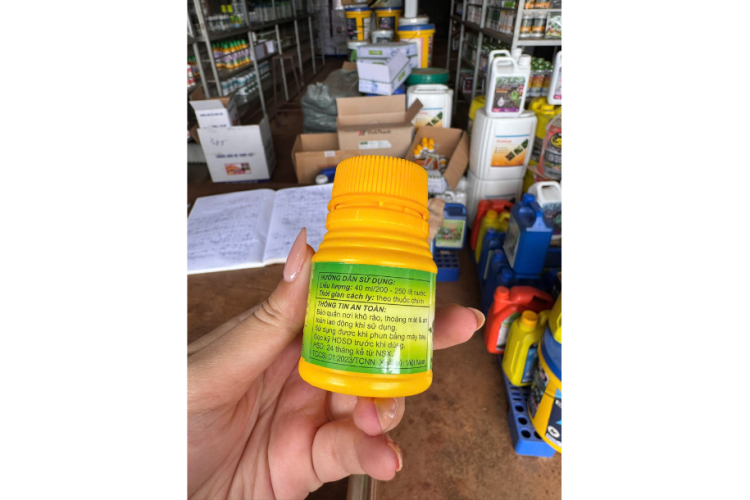 EPNON THẤM SÂU 30 GIÂY