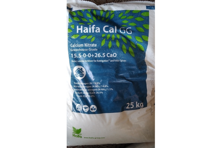 Haifa-Cal GG
