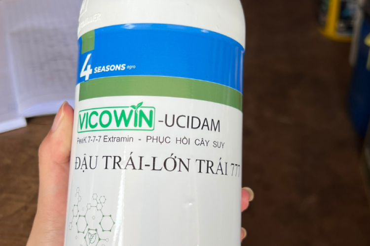  VICOWIN-UCIDAM Peak 7-7-7 (ĐẬU TRÁI, LỚN TRÁI)