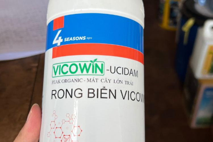 Vicowin-Ucidam RONG BIỂN